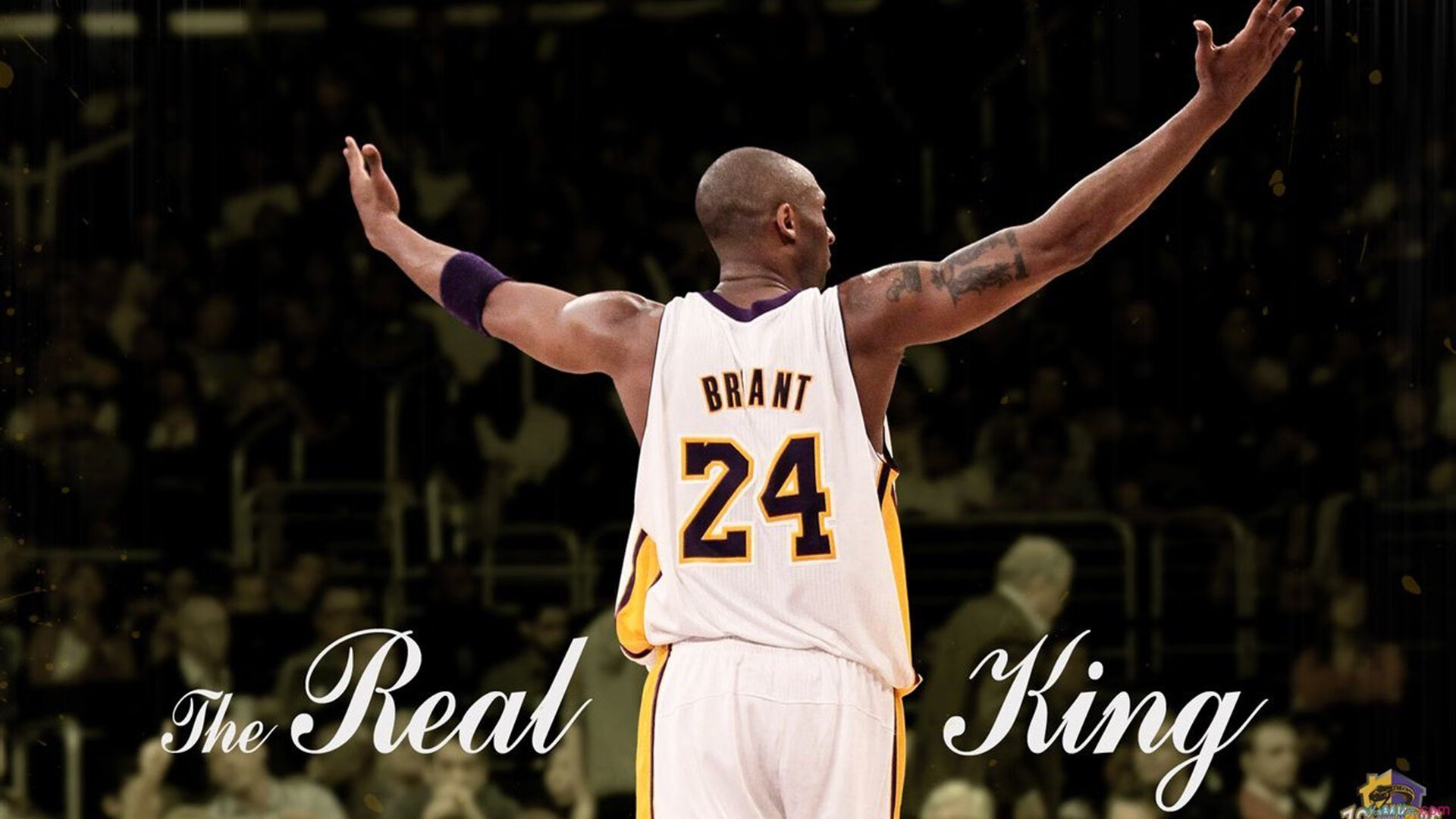 领先优势明显引发热议!蒂姆在雄鹿比赛中夺冠观众掌声雷动